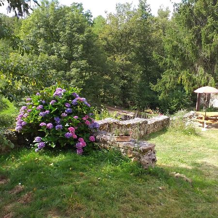 Gîte Moulin de Ludièras Busserolles Esterno foto
