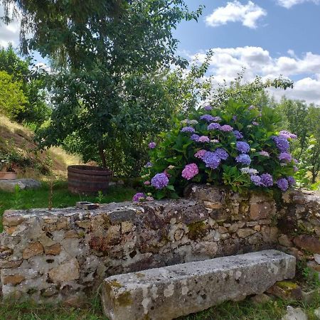Gîte Moulin de Ludièras Busserolles Esterno foto