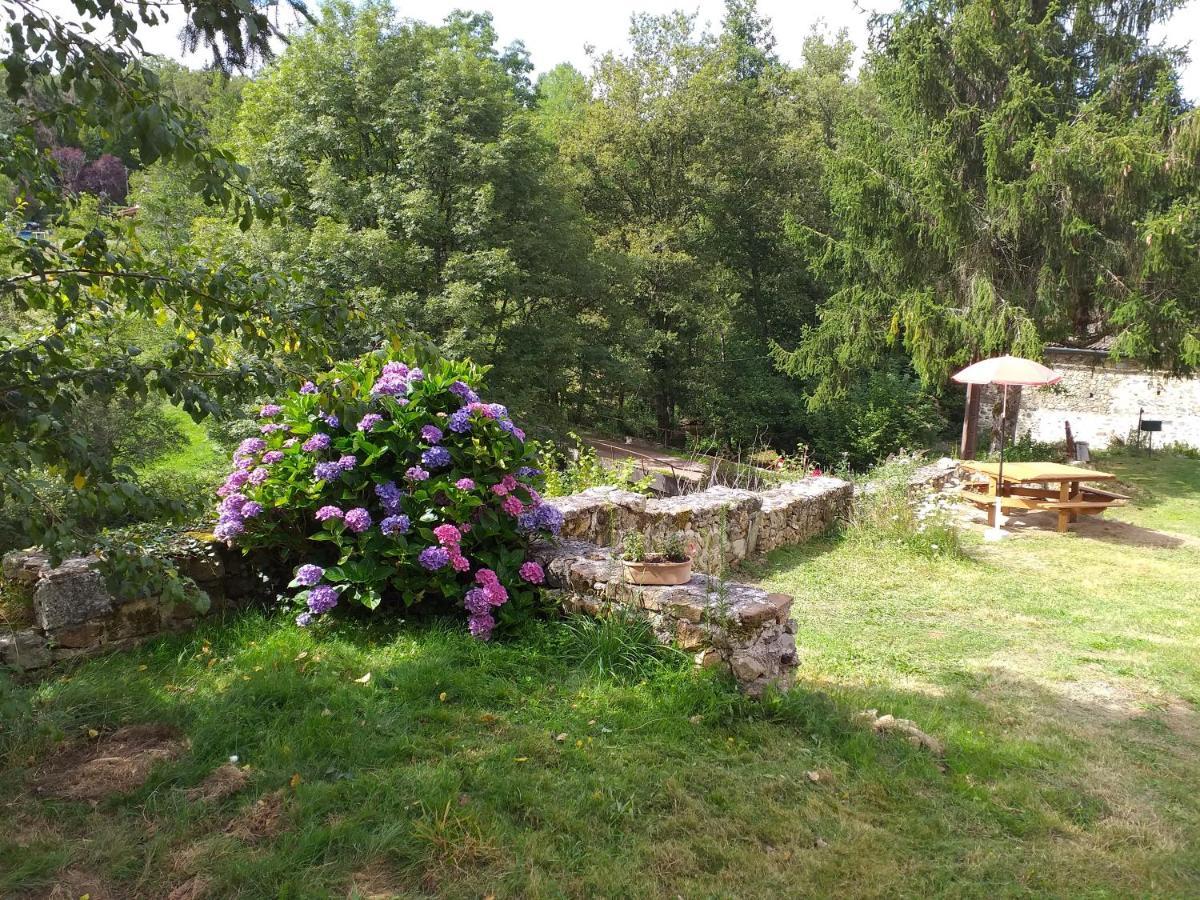 Gîte Moulin de Ludièras Busserolles Esterno foto