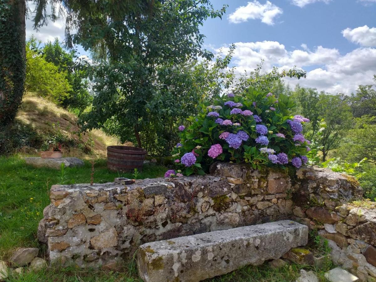 Gîte Moulin de Ludièras Busserolles Esterno foto